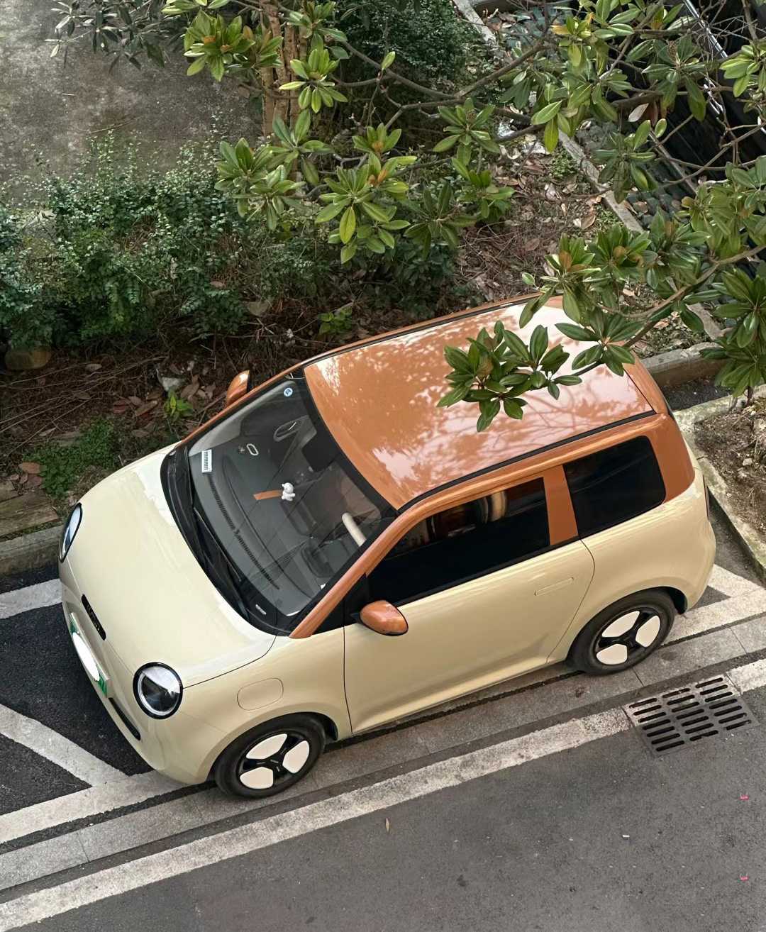 Descubra la libertad urbana con el Changan Lumin: la experiencia de un conductor