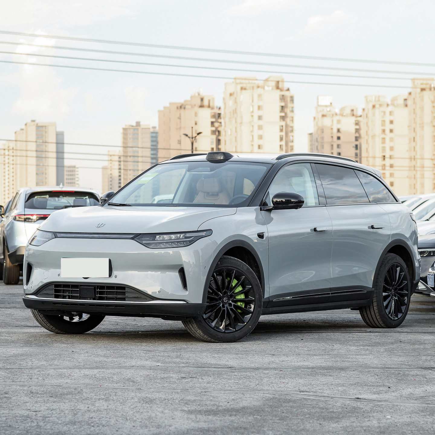 Leapmotor C11 wholesale dealer